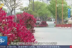 菏泽已出现降雨！山东多地有中到大雨局部暴雨，降温幅度6℃-8℃视频封面