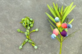 这树经济价值高，果子可以泡酒，但你知道它为什么叫罗汉松吗