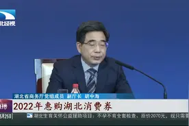 买车给补贴还发消费券 湖北出台提振消费“18条”视频封面