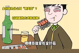 大名鼎鼎的金针菇，为什么叫“明天见”？以动漫的形式告诉你！视频封面