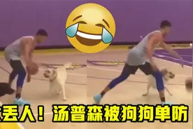 太丢人了！汤普森和狗狗单挑，花里胡哨运球被狗子一眼识破视频封面