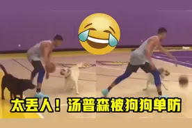 太丢人了！汤普森和狗狗单挑，花里胡哨运球被狗子一眼识破视频封面