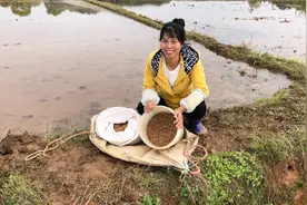 农村种水稻新方式，种子直接播撒到农田里，一亩地十分钟就搞定了视频封面
