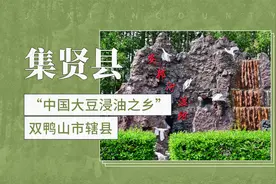 被誉为“中国大豆浸油之乡”——集贤县视频封面