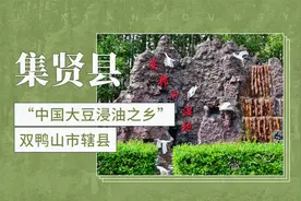 被誉为“中国大豆浸油之乡”——集贤县视频封面
