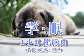 催眠曲一听就睡觉，重回学生时代一上课就想睡的打瞌状态