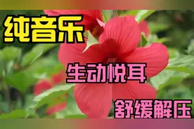 很多事其实大家都心知肚明，只是聪明的人知道忍住不说视频封面