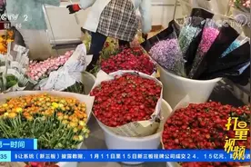 速看！鲜花个性化消费增加，新模式挑战传统销售|第一时间视频封面