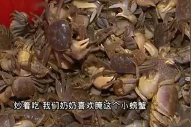螃蟹叶，六月黄！应季特色小螃蟹，价格实惠，肥美正当时！视频封面