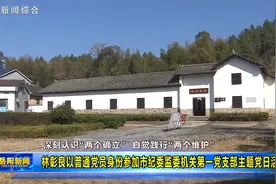 林彰良以普通党员身份参加市纪委监委机关第一党支部主题党日活动视频封面