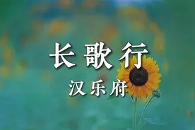 经典古诗诵读《长歌行》汉乐府 ，少壮不努力，老大徒伤悲