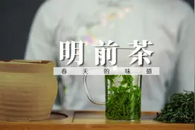 明前茶：5斤鲜茶，亲手炒1斤绿茶，泡一杯沫沉华浮，清香四溢视频封面