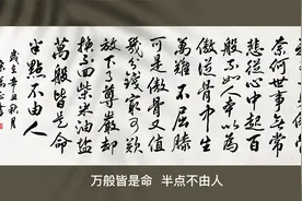 这首诗写尽了人生辛酸，诉说了人生无奈，万般皆是命，半点不由人视频封面