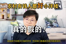 农村有钱人都好小洋楼，真相是什么？说得很有道理！视频封面