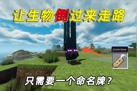 我的世界：老玩家都不会的技巧，让生物倒着走，只需一个命名牌？