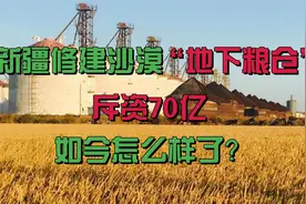 耗资70亿，我国在新疆修建沙漠“地下粮仓”，现在如何了视频封面