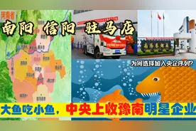 中央上收河南豫南驻马店南阳信阳6大明星企业，为何选择加入央企视频封面