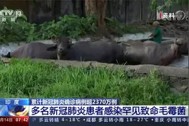 印度多名新冠肺炎患者感染罕见致命毛霉菌视频封面