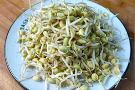 吃了30年的黄豆芽，这个做法百吃不腻，入味鲜香，地道的农家菜