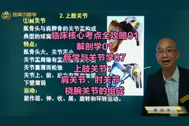 临床解剖学之上肢关节：肩关节、肘关节、桡腕关节的组成视频封面
