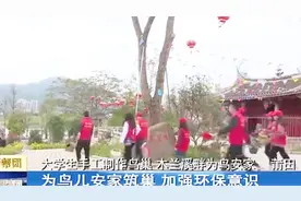 赞！大学生手工制作鸟巢，木兰溪畔为鸟安家