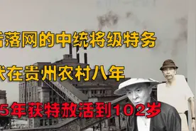 1958年，贵州一农民被捕，经查是潜逃八年要犯，小镇居民都感意外视频封面