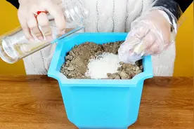 大米放进花盆里放两周，解决了很多养花朋友的烦心事，太棒了视频封面