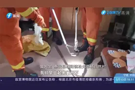 有蛇出没！剧毒眼镜蛇闯进惠安一村民家中，村民吓坏报警求助视频封面
