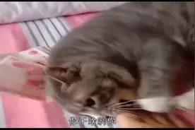 你大爷已经不是当年的你大爷，你大娘还是当年的你大娘视频封面