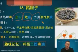 药名和药效对不上？独家口诀+趣味记忆！原来中药还可以这么记！视频封面