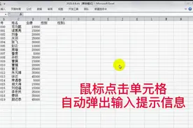excel鼠标点击单元格，自动弹出输入提示信息，录入真的太方便了视频封面