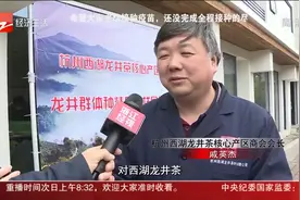 杭州西湖龙井茶群体种炒制评比 专家：今年品质上乘视频封面