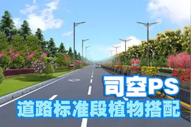 【司空侠PS教程】景观项目提升之道路标准段景观植物搭配设计透视视频封面