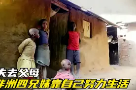 没有父母的四兄妹，只能靠自己努力生活，实在可怜视频封面