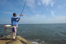 鲅鱼如何钓？这里有妙招儿~