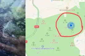 杭州郊区现野生豹？浙江权威动物专家：系野生可能性微乎其微视频封面