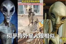村民拆老房子房梁上惊现神秘骨架，不像人类不像动物，很像外星人视频封面
