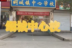临泉县鲖城镇中心校视频封面