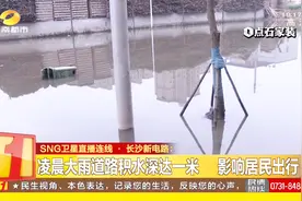 4月11号的一场大雨，长沙新电路积水深达一米，严重影响居民出行视频封面