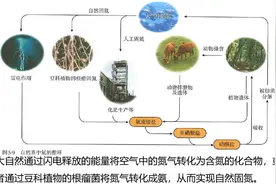 空气中含量最多的气体——氮气，人的呼吸离不开它！高中化学内容视频封面