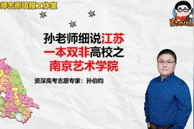 孙老师细说江苏一本双非高校之南京艺术学院视频封面