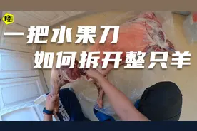 内蒙小伙教你如何用一把水果刀，完整拆卸一整只羊，美食亲自动手视频封面