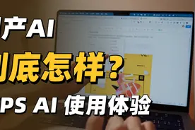 国产AI实测！WPS AI 20天深度体验分享！视频封面