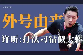 乒乓运动员外号的由来：不懂球的胖子刘国梁和人民艺术家许昕