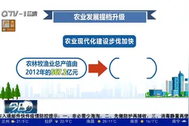 青岛：转型升级步伐加快，三次产业协同发展视频封面