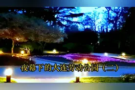 夜幕下的大连劳动公园（二）视频封面