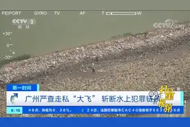 广州严查走私“大飞”，斩断水上犯罪链条|第一时间视频封面