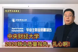 2020大学生就业真难！中央财经大学2020就业质量报告，扎心啊！视频封面