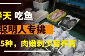 春天吃鱼，聪明人选这5种鱼，肉质细嫩无刺，营养丰富视频封面