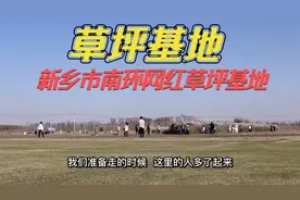 新乡南环有个草坪基地大家知道吗？带孩子去玩不错，关键还免费